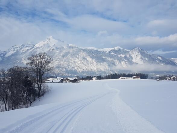 Langlaufen in Reith im Alpbachtal