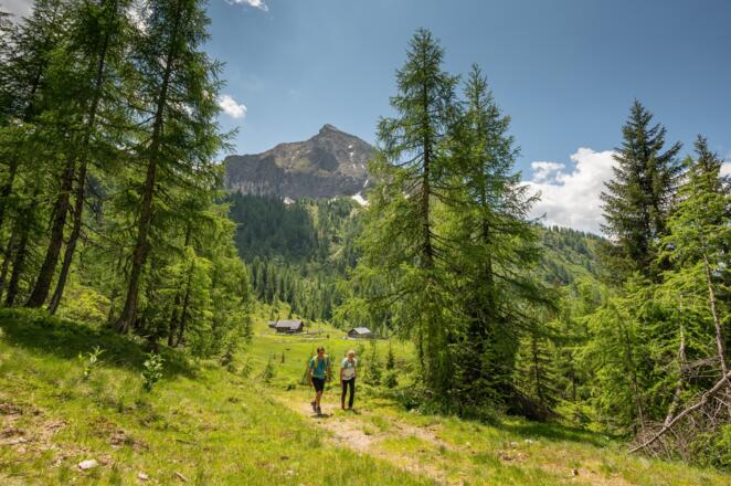 Wandern Steinkaralm