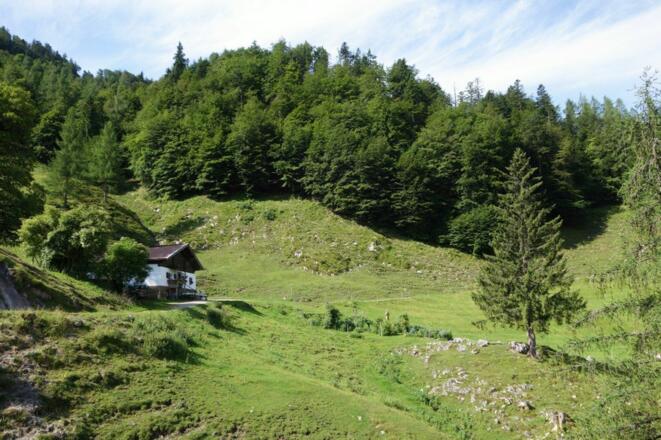 Kirchdorf_Bacheralm_Wilder Kaiser