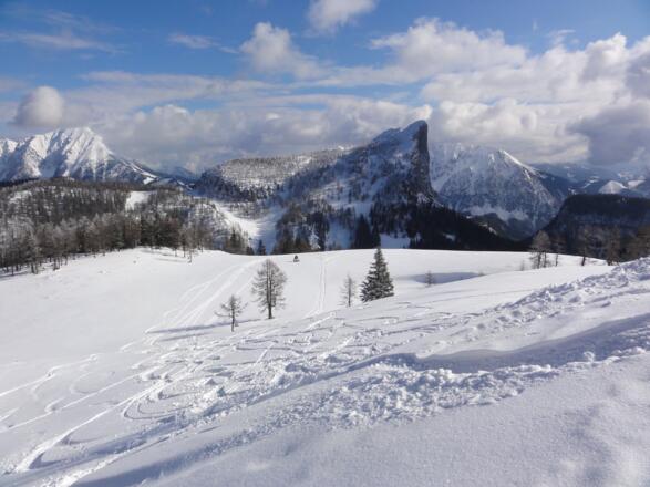 Stubwies und Gr. Pyhrgas vom Halskogel; Abfahrtsspuren zum Osthang