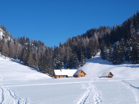 Wurzeralmgebiet 1420m mit Öhlerhütte am Teichlboden.