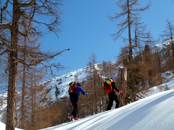 Aufstieg im Lärchenwald um 1700 m