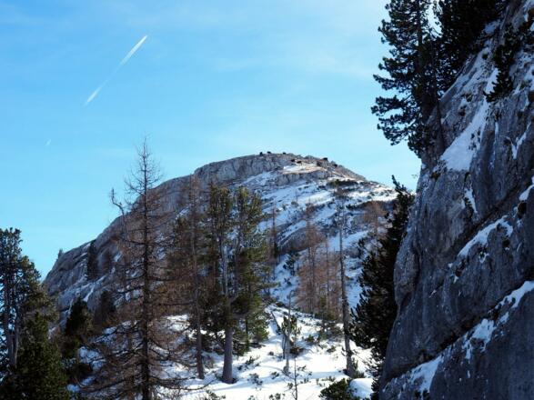 Torkoppen 1901m mit Gemsen