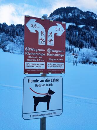 Wagrain Kleinarl Loipe