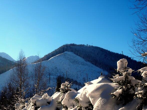 Gr. Mitterberg 1231m von der Hengstpaßstraße gesehen