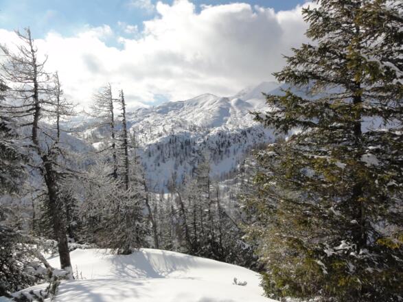 Rote Wand vom Halskogel