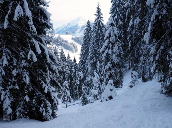 Gschwandgraben ca. 1015-1325m