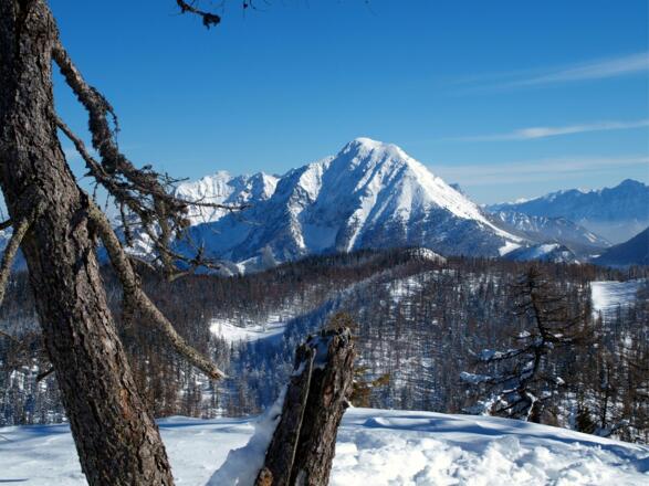 Halskogel 1690m mit Pyhrgasblick