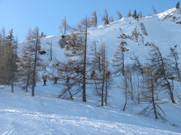 Steilstufe unter dem Mitterberg - oft windgepresster Schnee - Harscheisen empfehlenswert