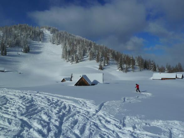 Halskogel Ost-Abfahrt zur Stubwiesalm