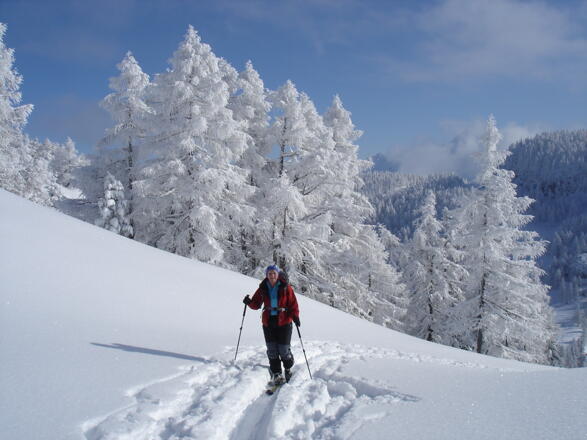 Aufstieg zum Halssattel