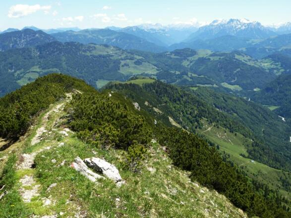 Kirchdorf_Feldberg_Wilder Kaiser