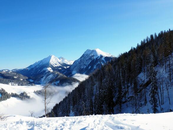 Aufstieg Gschwandgraben ~1345m