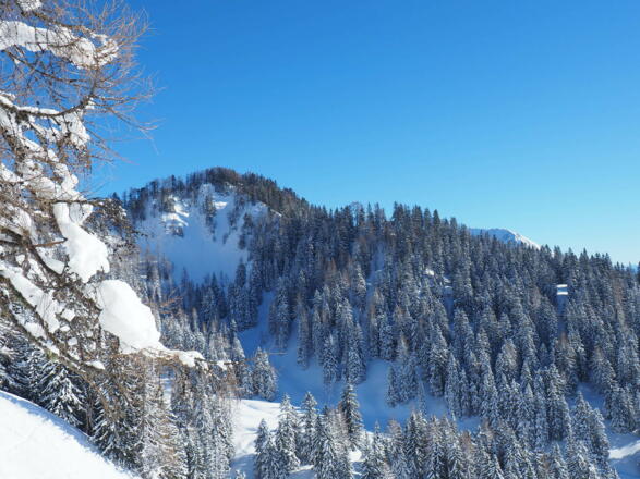 Gameringspitz 1673m vom Kreuzbauernspitz