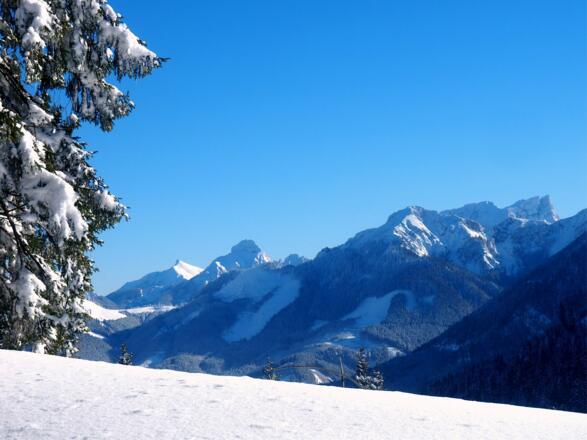 Blick zum Gr.+Kl. Buchstein