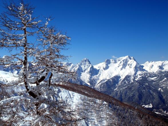 Spitzmauer und Großer Priel