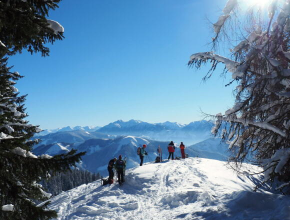 Kreuzbauernspitz 1657m