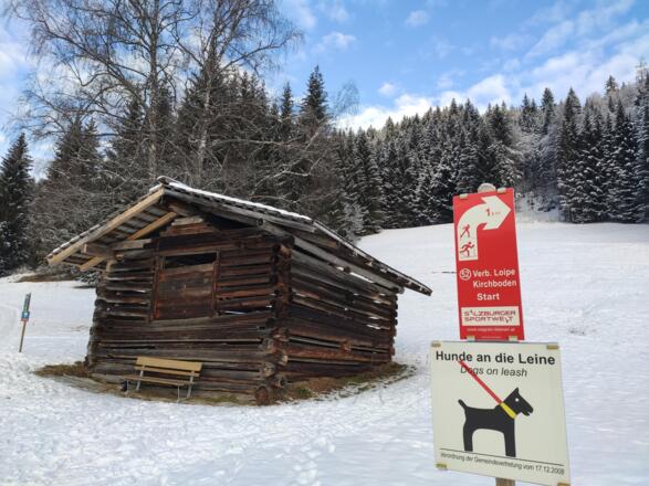 Verbindungsloipe Kirchboden