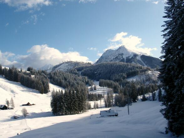 Hintersteiner Almen 1020m