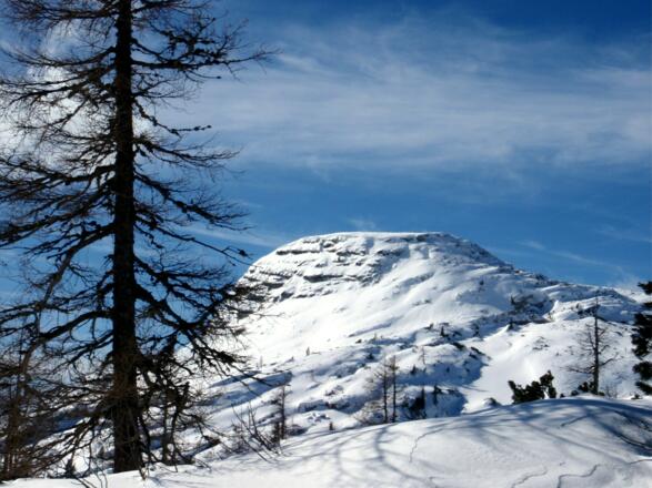Torkoppen im Blick von ca. 1845m