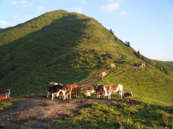 Anstieg zum Klingspitz