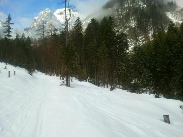 Auf dem Weg zur Poppenalm.