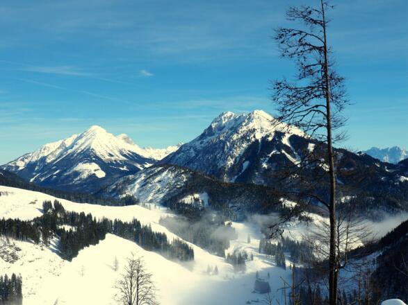 Abfahrt Forststraße mit Pyhrgas und Bosruck