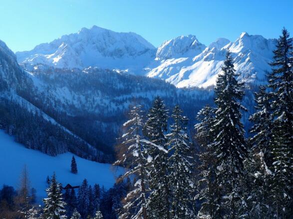 Inselbacheralm, Scheiblingstein, Pyhrgasgruppe