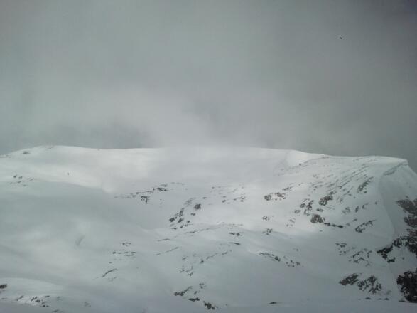 Der Große Brieglersberg vom Kleinen aus gesehen.