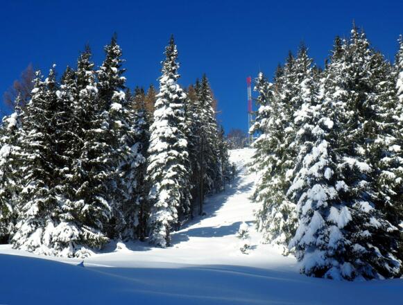 Schneise zum Gr. Mitterbergsender