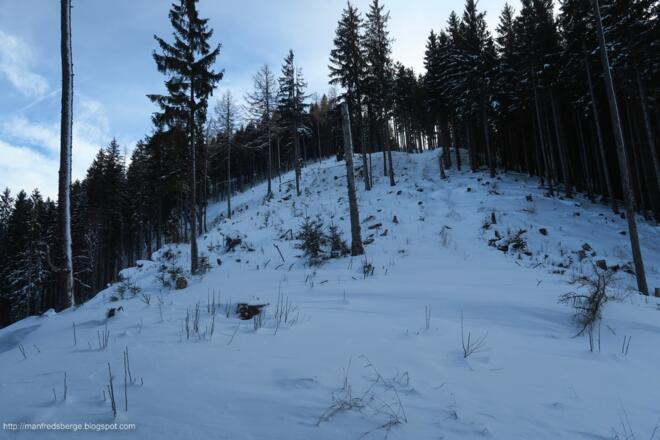 Der Einstieg in den Westhang ist zu Beginn ziemlich verwachsen, erst weiter oben weitet es sich. Hier mussten wir nun selber bergauf spuren: