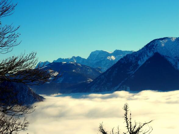 Blick zum Gr. Priel vom Brenntenkogel
