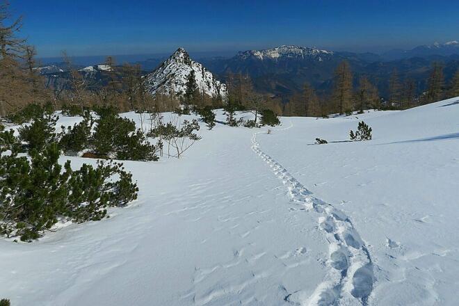 Rückblickend zum Raukogel