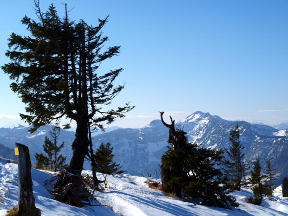 Beginn Eibenbergschneid 1550m