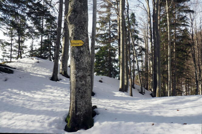 1000m Platzl Südanstieg, rechts