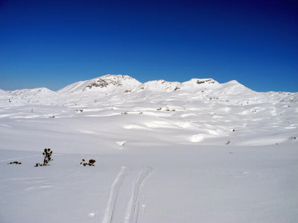 Am Schwarzmoossattel sieht man die Weite des Toten Gebirges - die rechte der vier Erhebungen ist der Grießkogel.