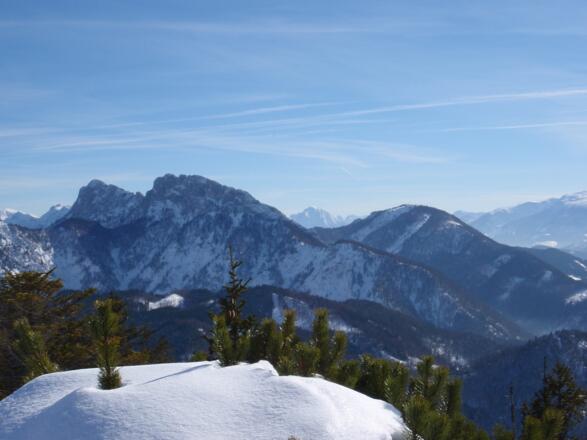 Blick zur nahen Kremsmauer