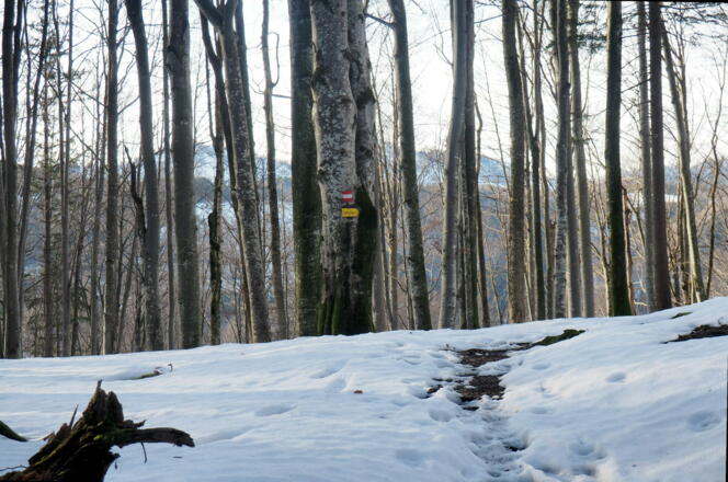 Sattel 1 um 780m, rechts