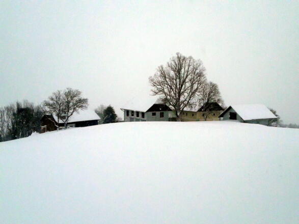Abfahrt, am Hof vorbei (730 m)