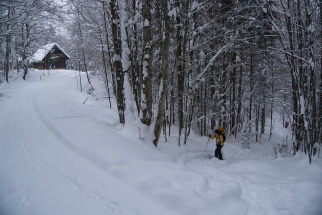 Hütte kurz vor der Roßleitenreithalm