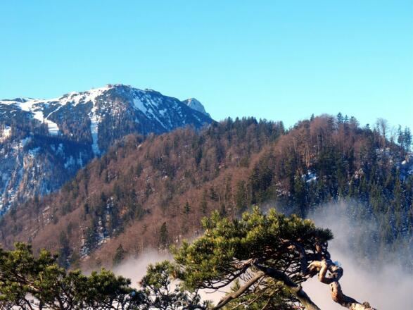 Rückblick zum Brenntenkogel 1135m