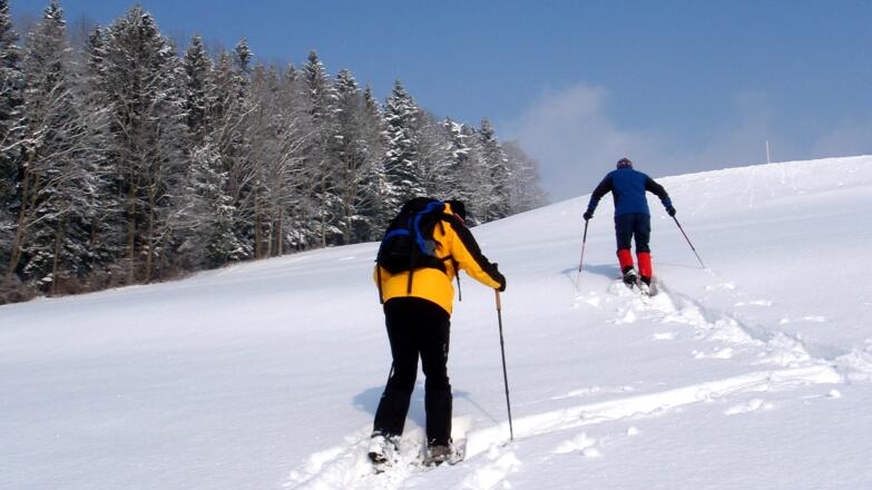 Anstiegsbeginn über die Wiese um 725m