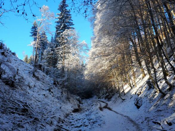 Im schattigen Katzengraben