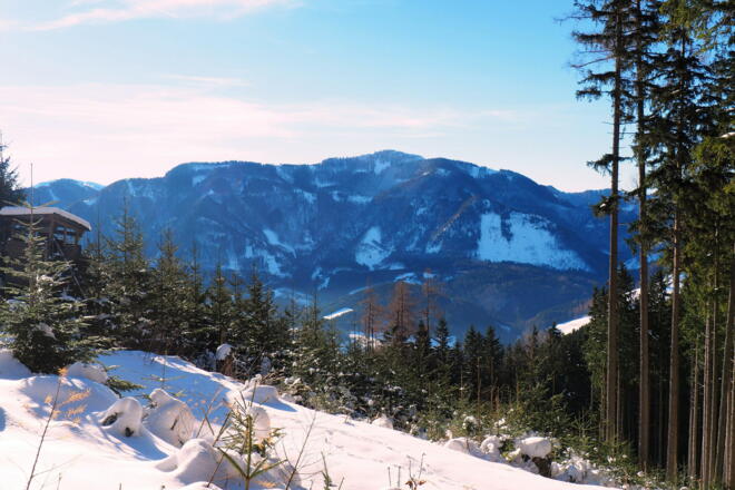 Aussichtspunkt zum Hochsalm um 950m