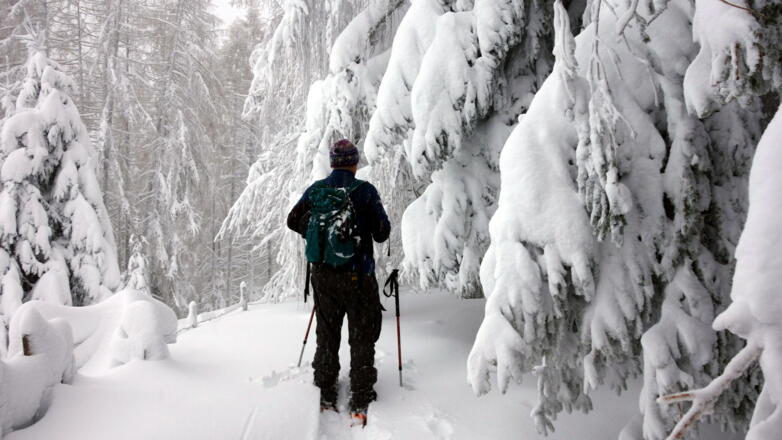 Winterlandschaft im Wald ~980m