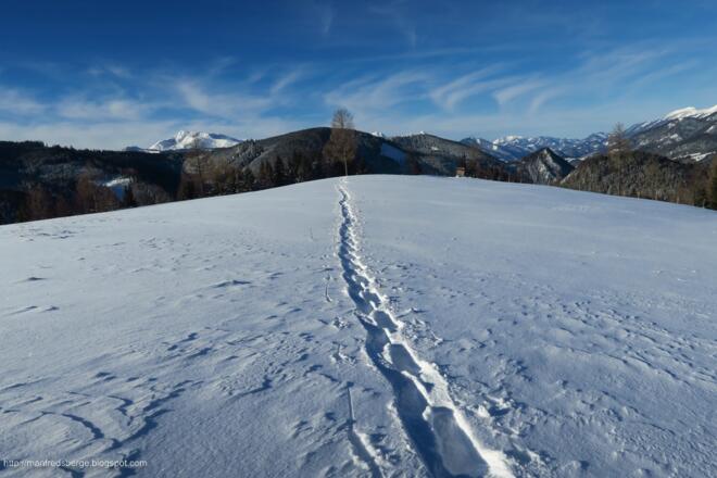 Schneeschuhspur
