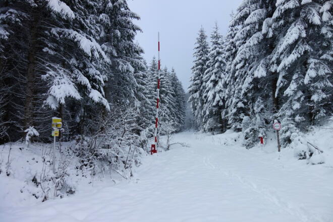 Kreuzing (760 m), rechts der Forststr. folgen