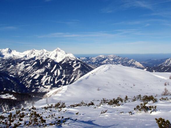 Wilde Süd 1917m mit Schigipfel und Prielkamm