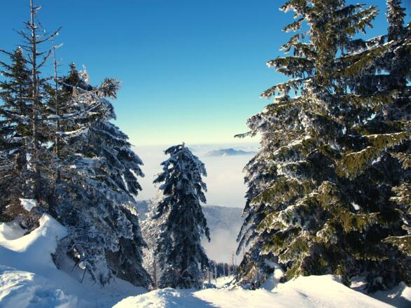 Blick vom Gipfelplateau nach Norden ins Tal