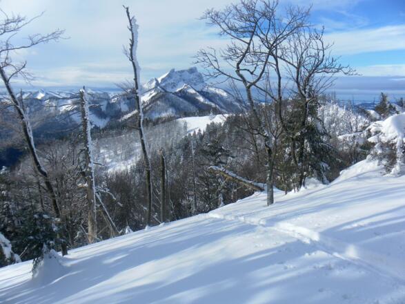 Schafberg von der Gipfelkuppe